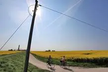Radtouren entlang von Rapsfeldern