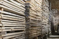 Holz100 – Thoma